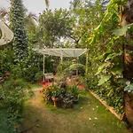 Saffronstays Birdsong, Madh - Pet-Friendly Villa At Madh Island