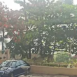 Seaview Room Bandra W Bandstand Nr Taj Women Only