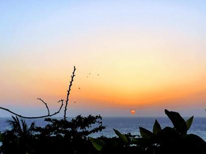 Apartment Eko - Tropical Beach