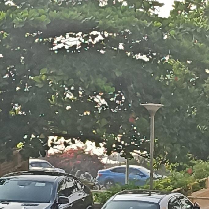 Cozy Private Ac Studio By The Sea Bandstand Bandra W Nr Taj Lands End Mumbai