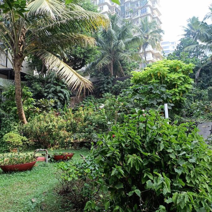 Cozy Private Ac Studio By The Sea Bandstand Bandra W Nr Taj Lands End *