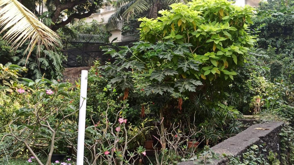 Seaview Bandra W Bandstand Nr Taj Women Only *