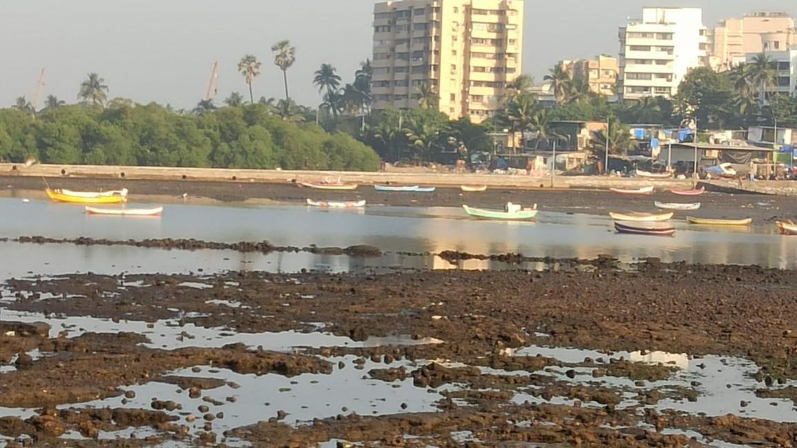 Seaview Bandra W Bandstand Nr Taj Women Only * Mumbai