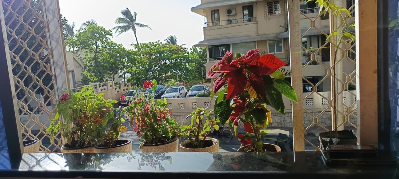 Seaview Bandra W Bandstand Nr Taj Women Only Homestay *