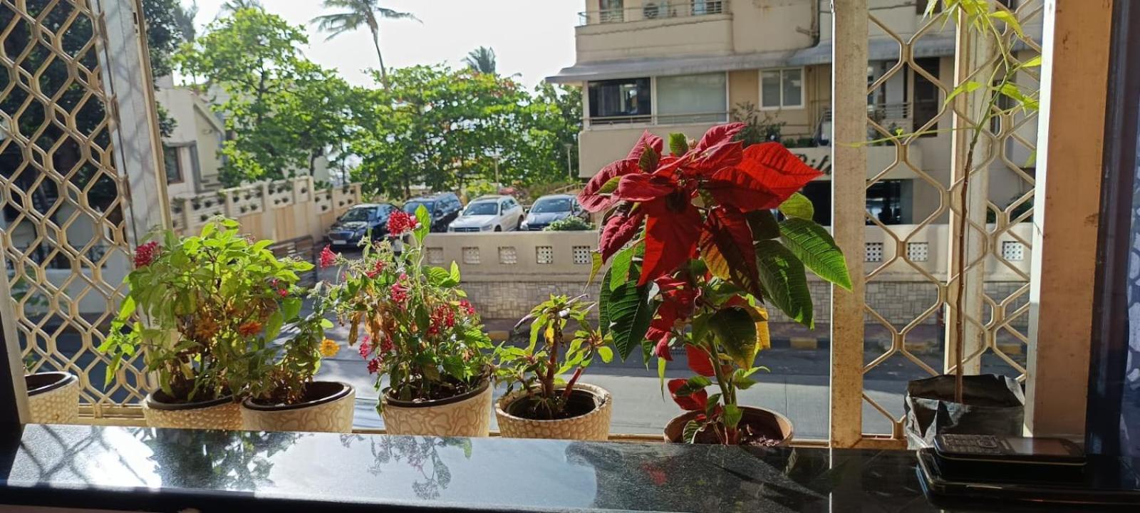 Seaview Bandra W Bandstand Nr Taj Women Only