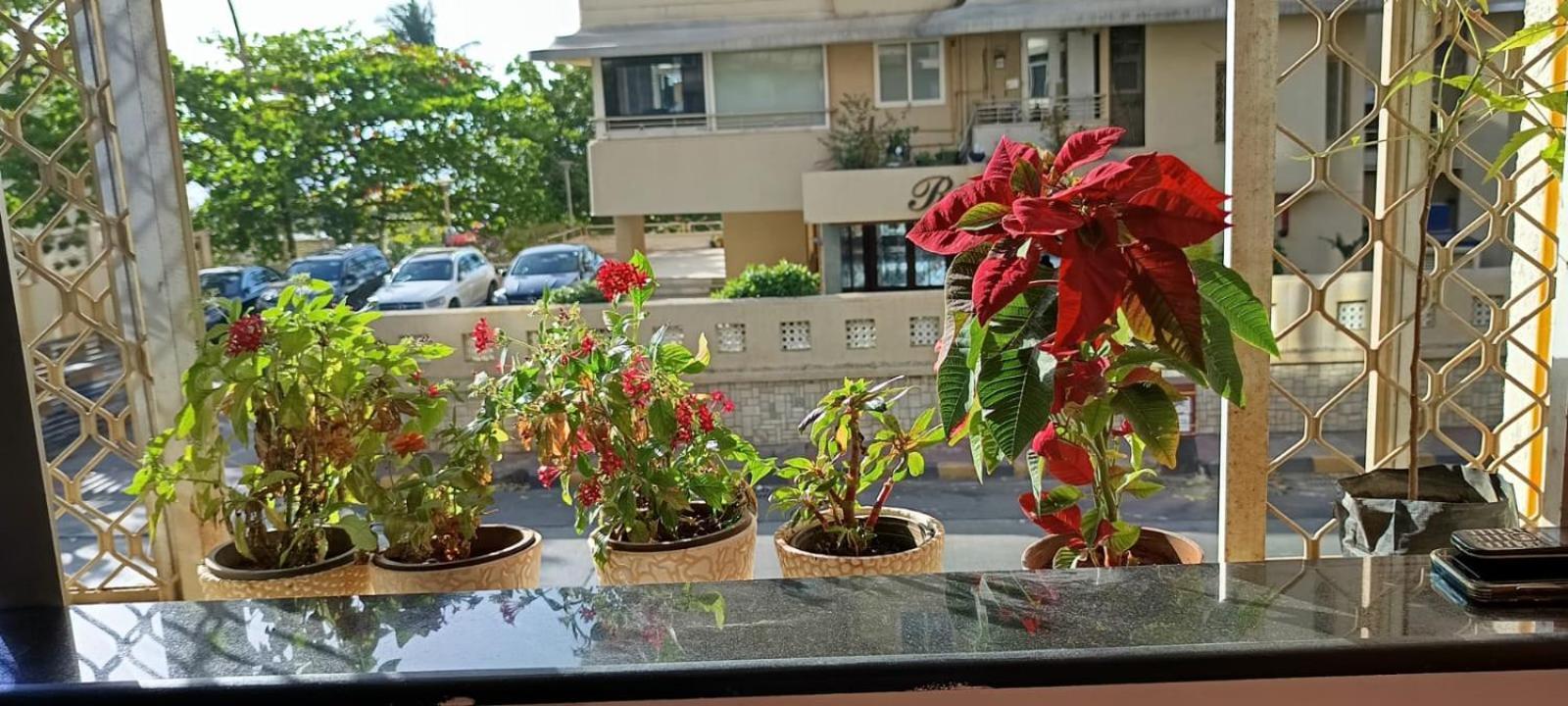 Seaview Bandra W Bandstand Nr Taj Women Only Homestay *