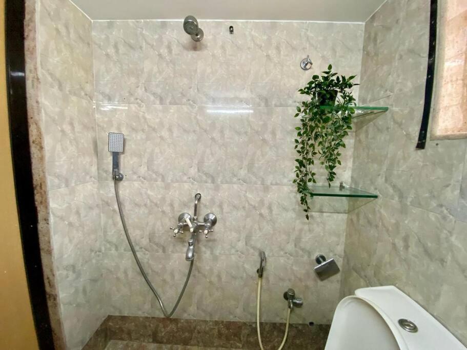 Simon Lydia 5 - A Sunlit Charm In Bandra, Pali Village By Connekt Homes *