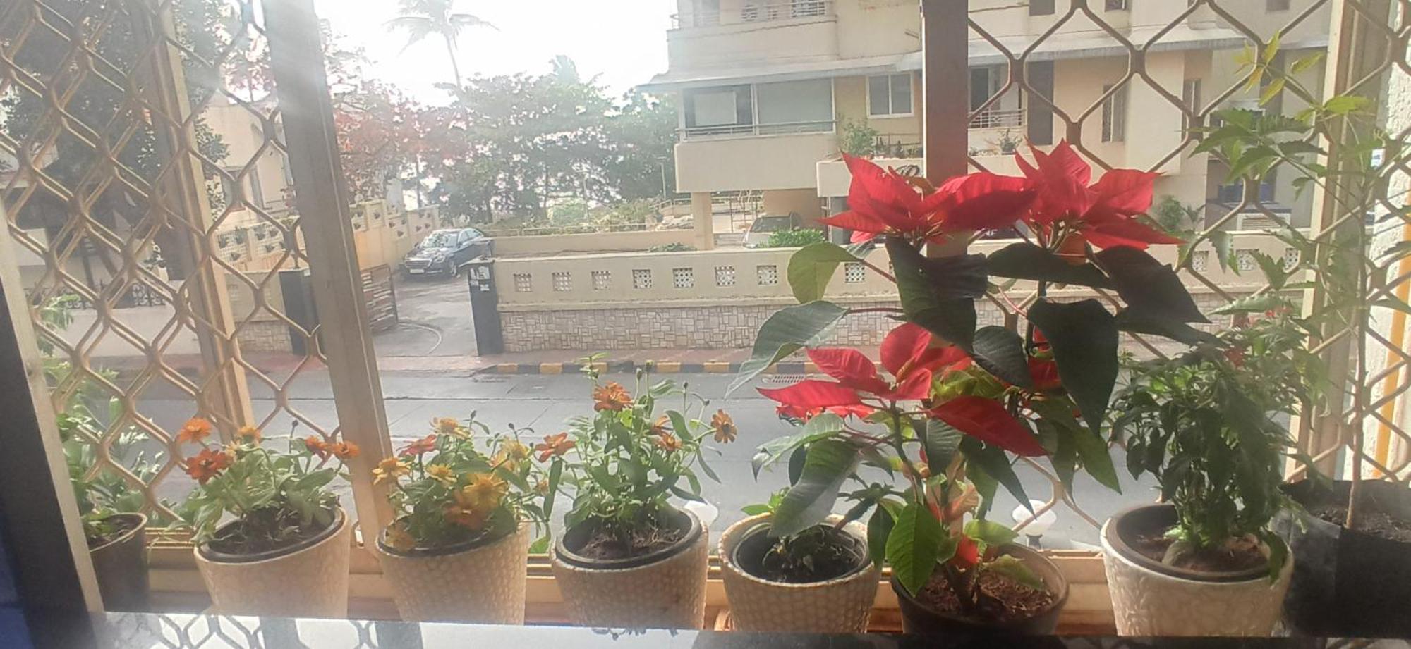 Seaview Bandra W Bandstand Nr Taj Women Only Homestay Mumbai
