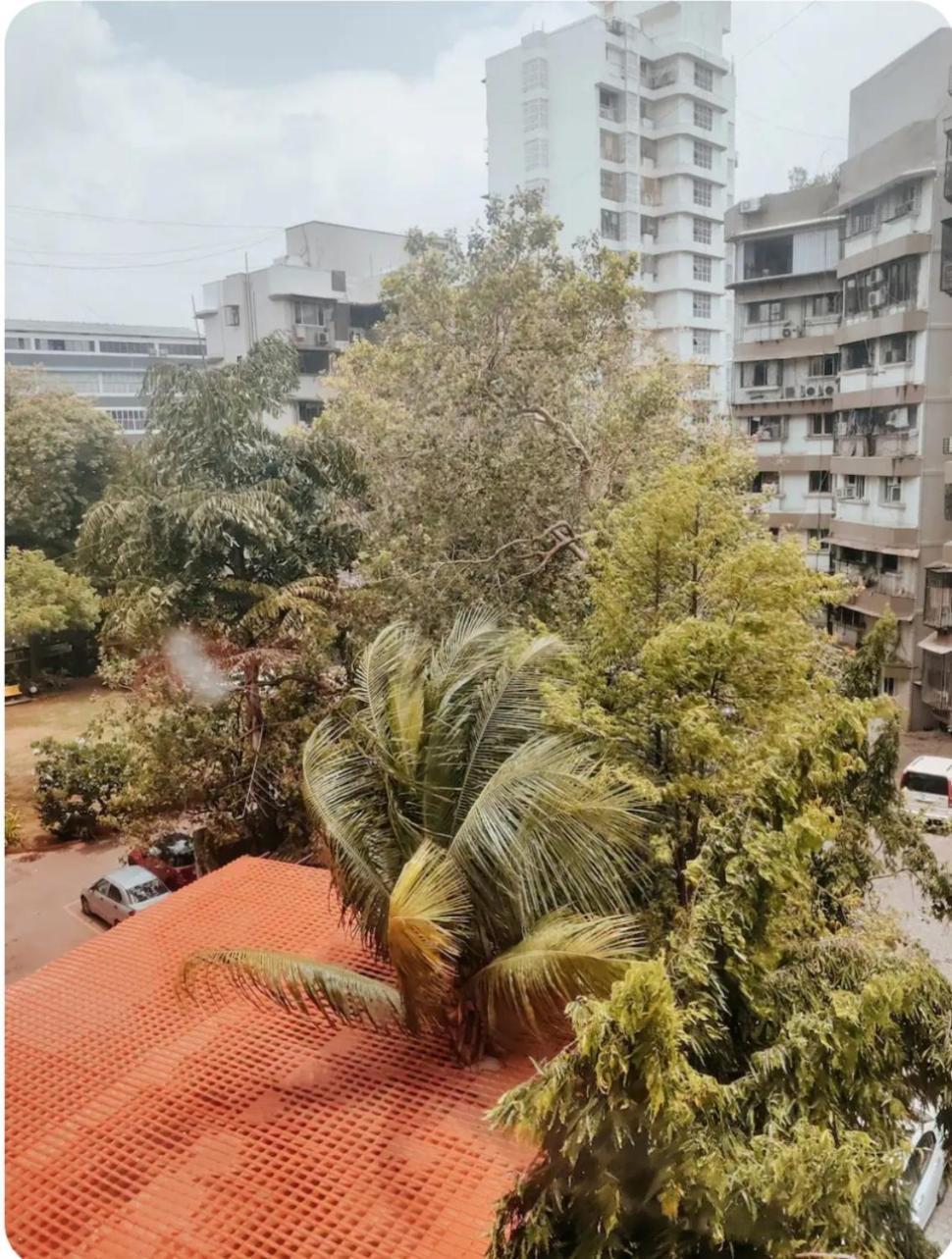 Cozy N Spacious 1bhk Off Carter Rd Bandra Apartment