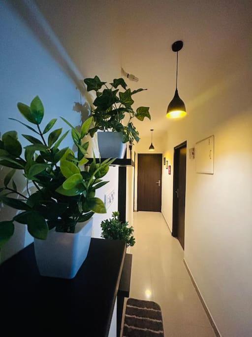 Apartment Highland Mumbai