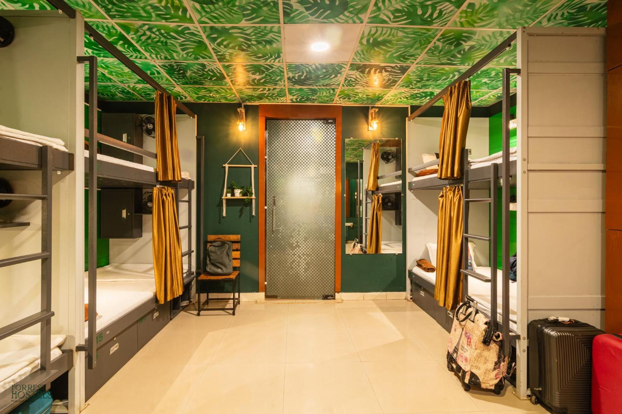 Forrest Hostel