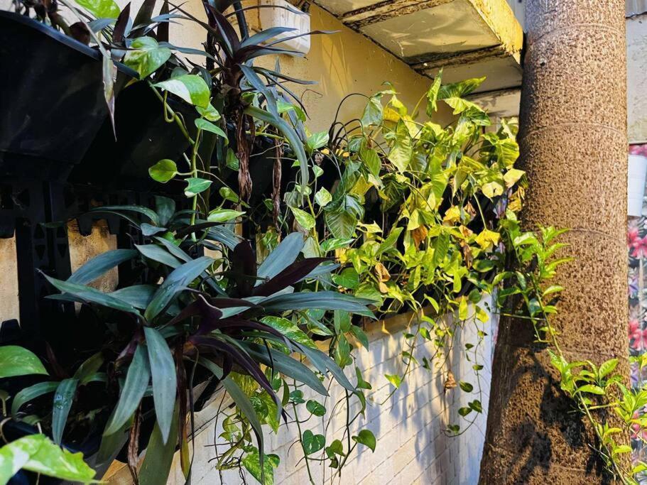 Verandah Myrah 2bh With Plunge Pool Mumbai