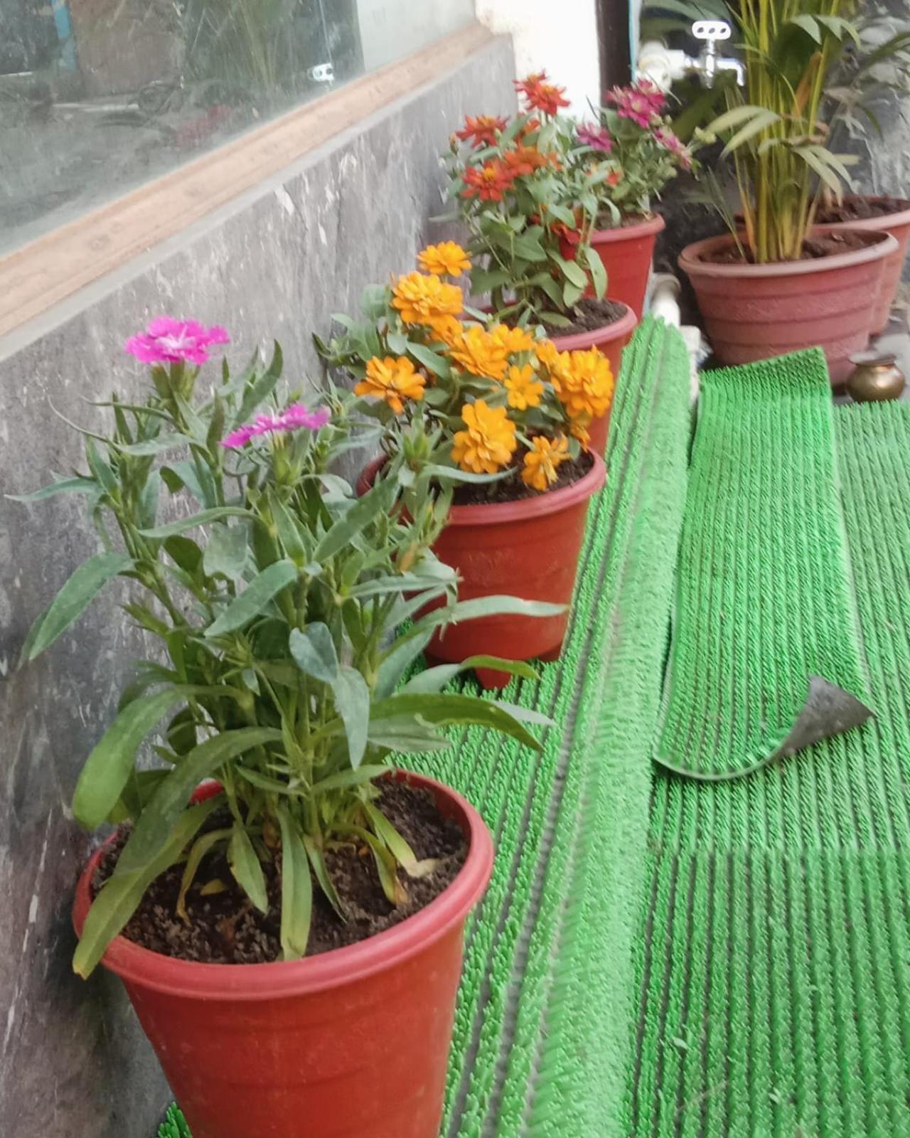 Kailasha Hostel *