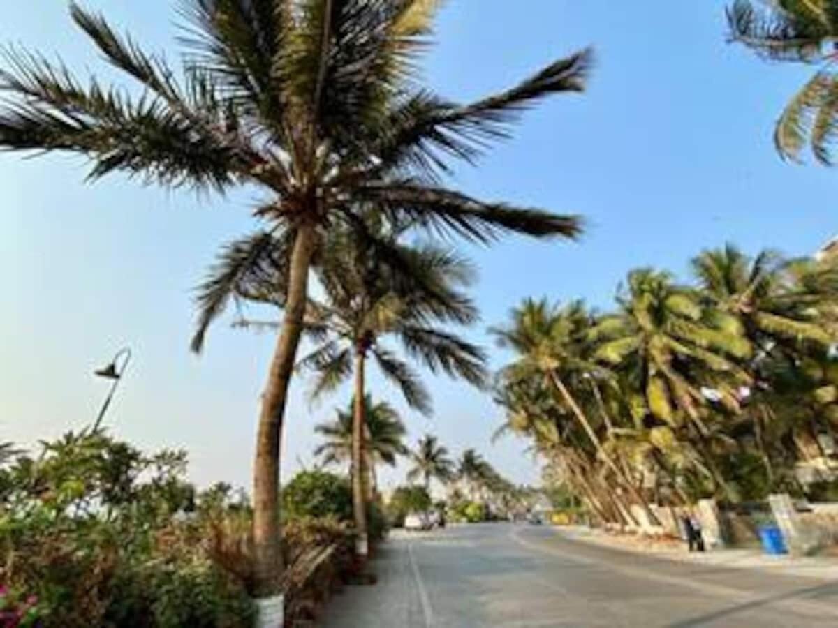 Apartment Dom Lucia 201 Quiet And Cozy 1 Bhk Bandra Ocean Side Wifi Mumbai