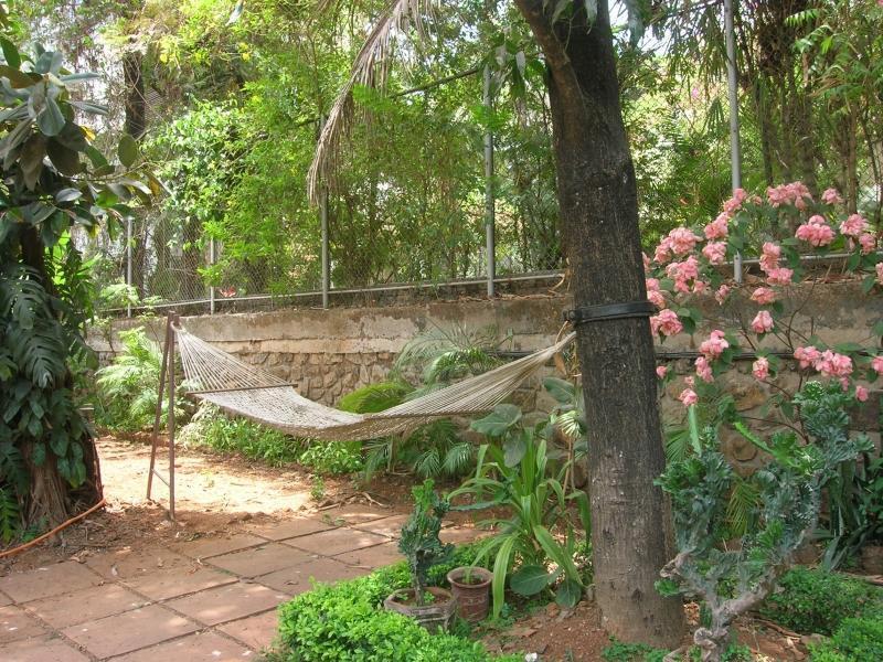 Pearl Homestay 3* Mumbai