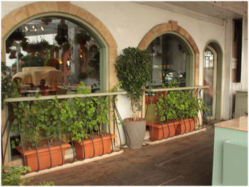 Garden Hotel