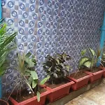 New Metro Guest House