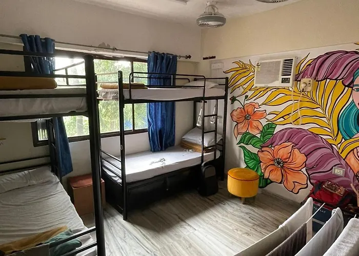 Krazy Solo Hostel
