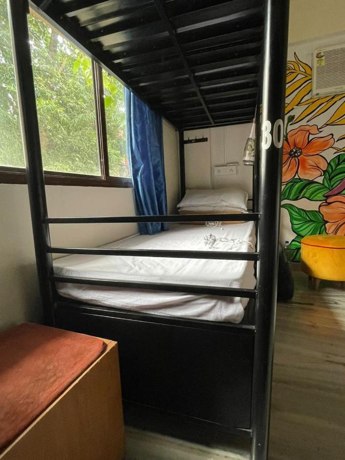 Krazy Solo Hostel