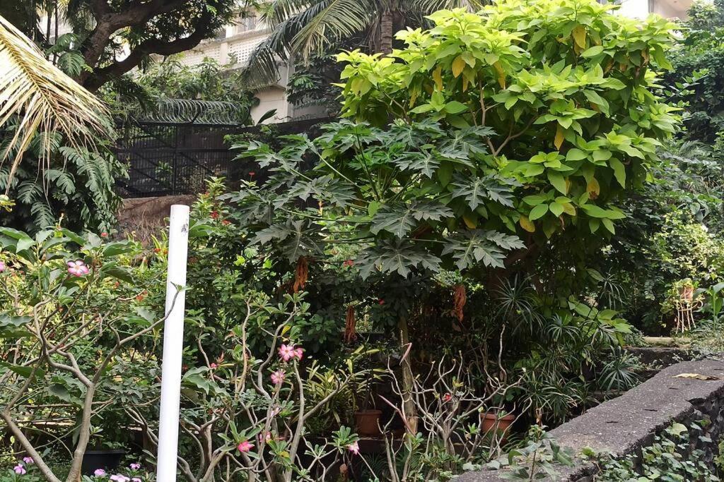 Apartment Cozy Private Ac Studio By The Sea Bandstand Bandra W Nr Taj Lands End *