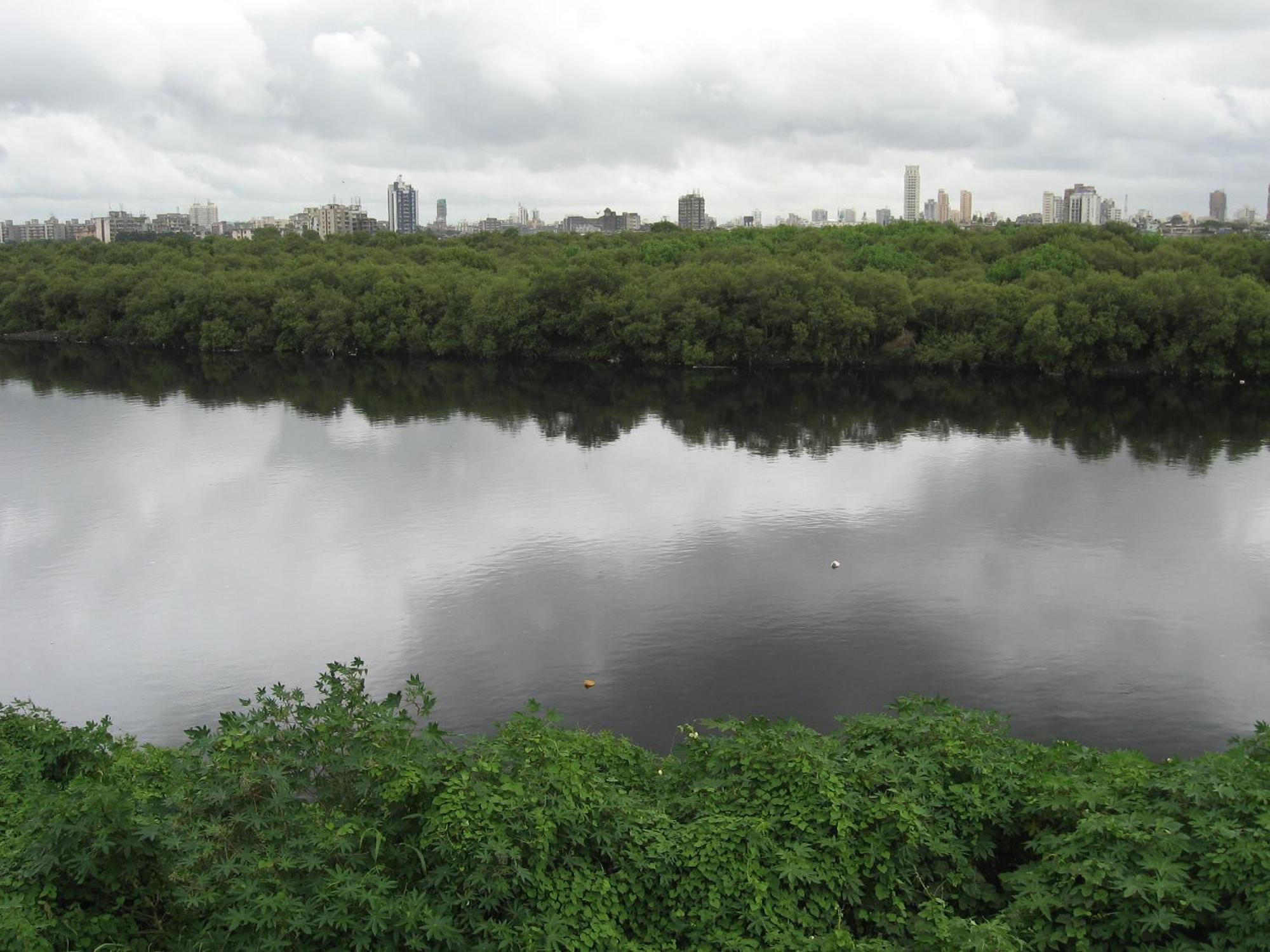 Isra International, Bkc Mumbai