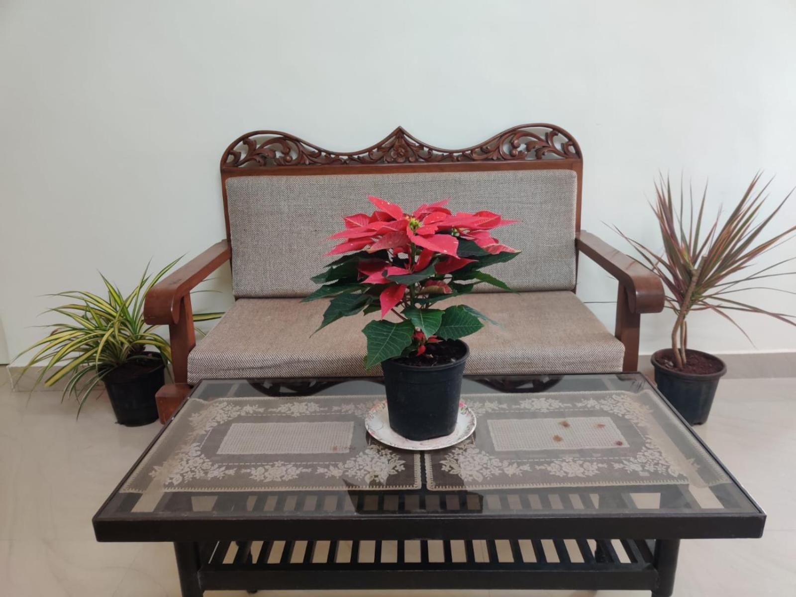 Calming Abode Mumbai