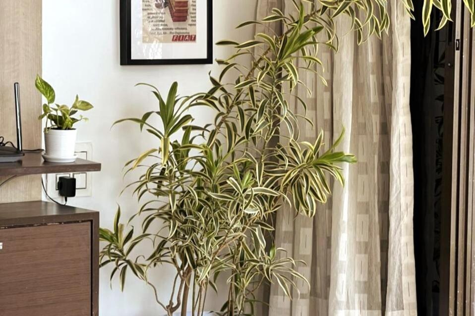 Marita 701 Bandra Beauty 2 Bed 2 Bath Sea View Parking Apartment