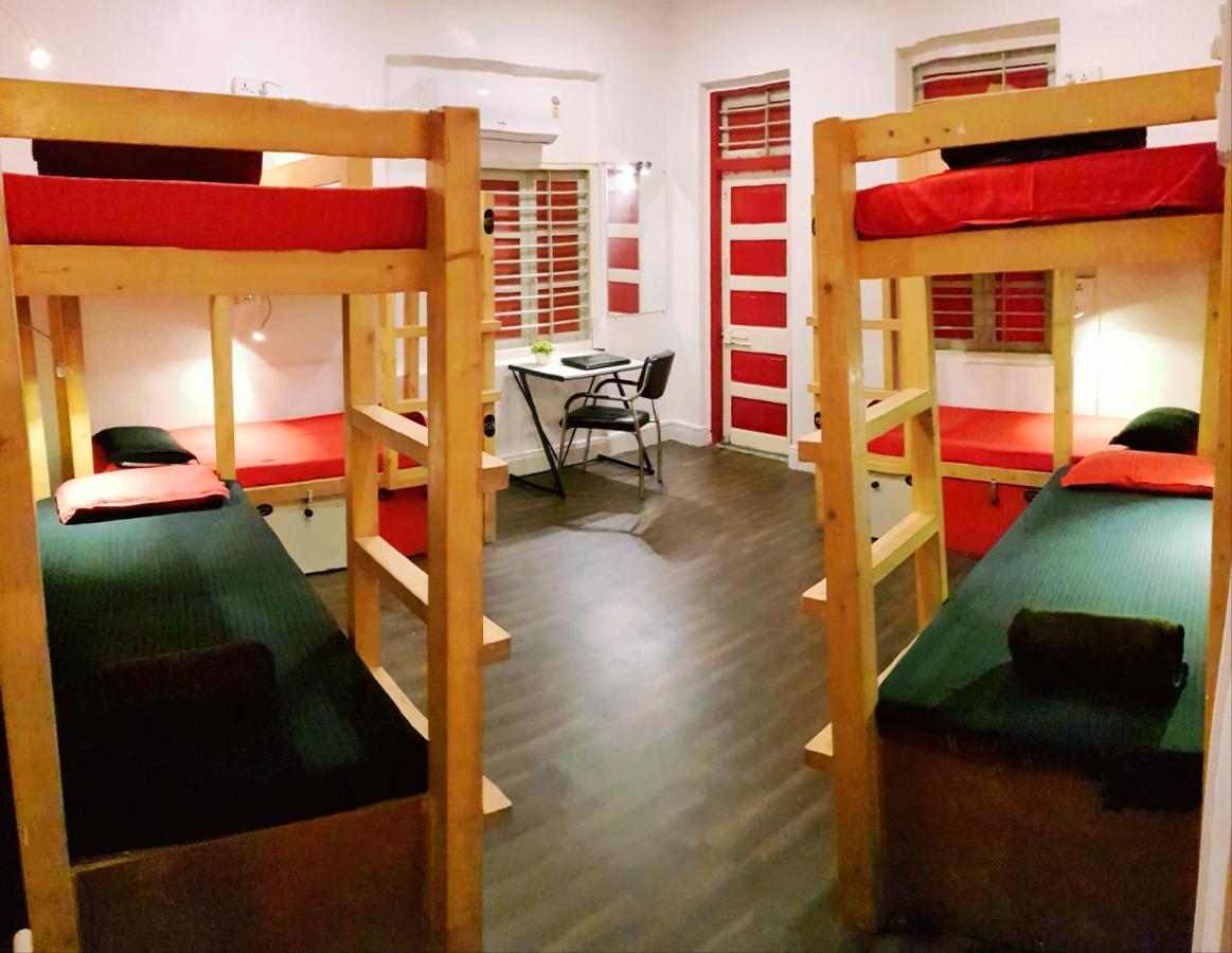 Hostel Backpackers